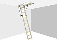 D-Step Standard